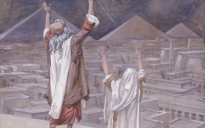 O coração de Faraó mostra-se endurecido. 7 das 10 pragas