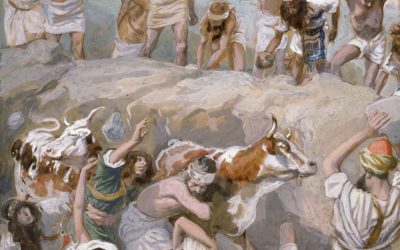 As penas de diversos crimes