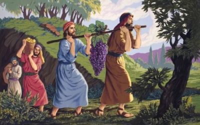 Doze homens são enviados para espiar a terra de Canaã