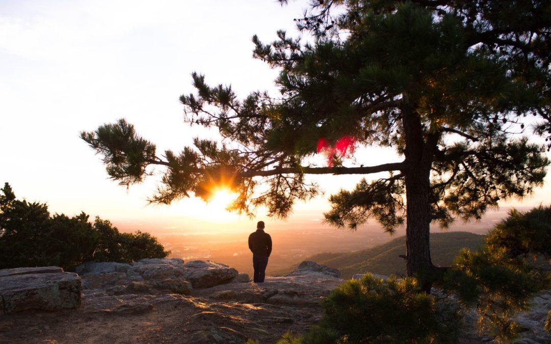 Disciplina da Atenção
