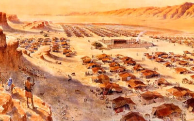 O ano da remissão e os deveres dos juízes