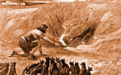 O nascimento e casamento de Sansão;  A vingança de Sansão sobre os filisteus