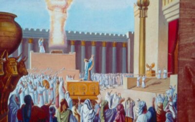 Salomão fala ao povo; Salomão ora a Deus; A glória de Deus enche o templo; A aliança do Senhor com Salomão; As demais atividades de Salomão