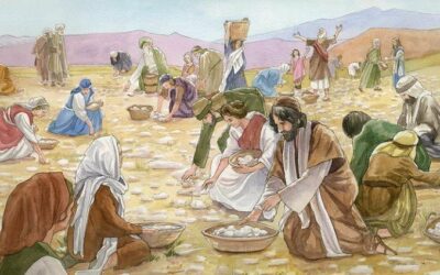 A providência divina na história do seu povo; O povo pede castigo contra os inimigos