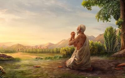 Jó nada mais espera desta vida; Bildade descreve a sorte do perverso; Jó, embora sofrendo, sabe que seu Redentor vive; Zofar descreve as calamidades dos perversos