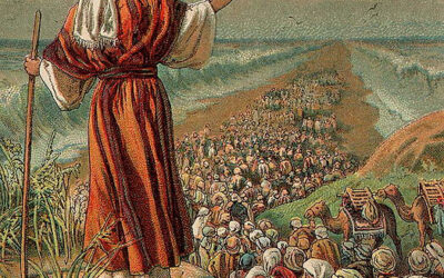 A fraqueza do homem e a fidelidade de Deus; Louvor ao Deus Todo-Poderoso; Um coro de aleluias; Os fiéis louvam a Deus; Doxologia final