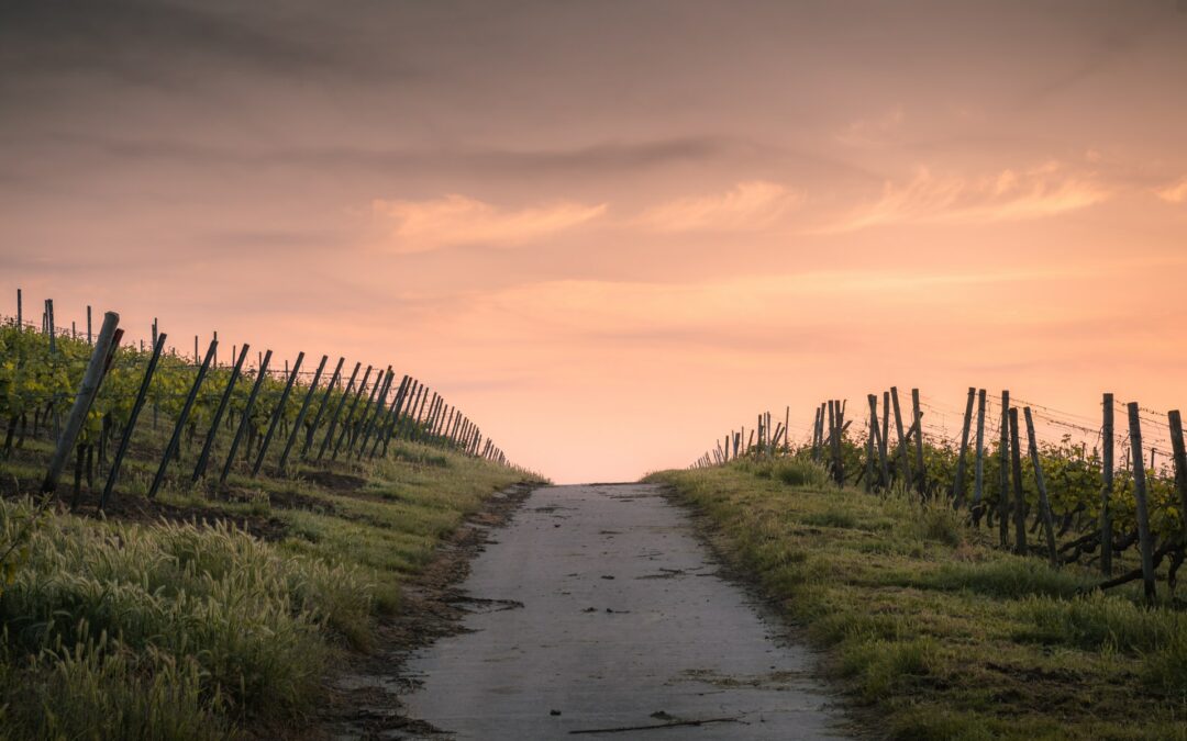 Sofrendo a Aflição e Indo a Segunda Milha