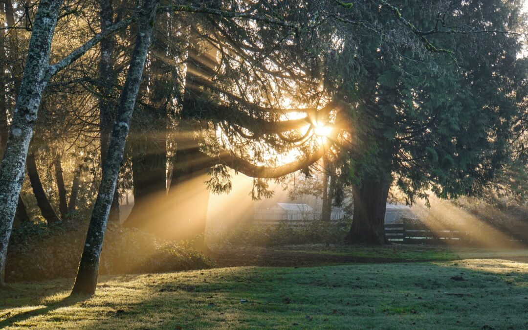 A Lugar Para o Ministério