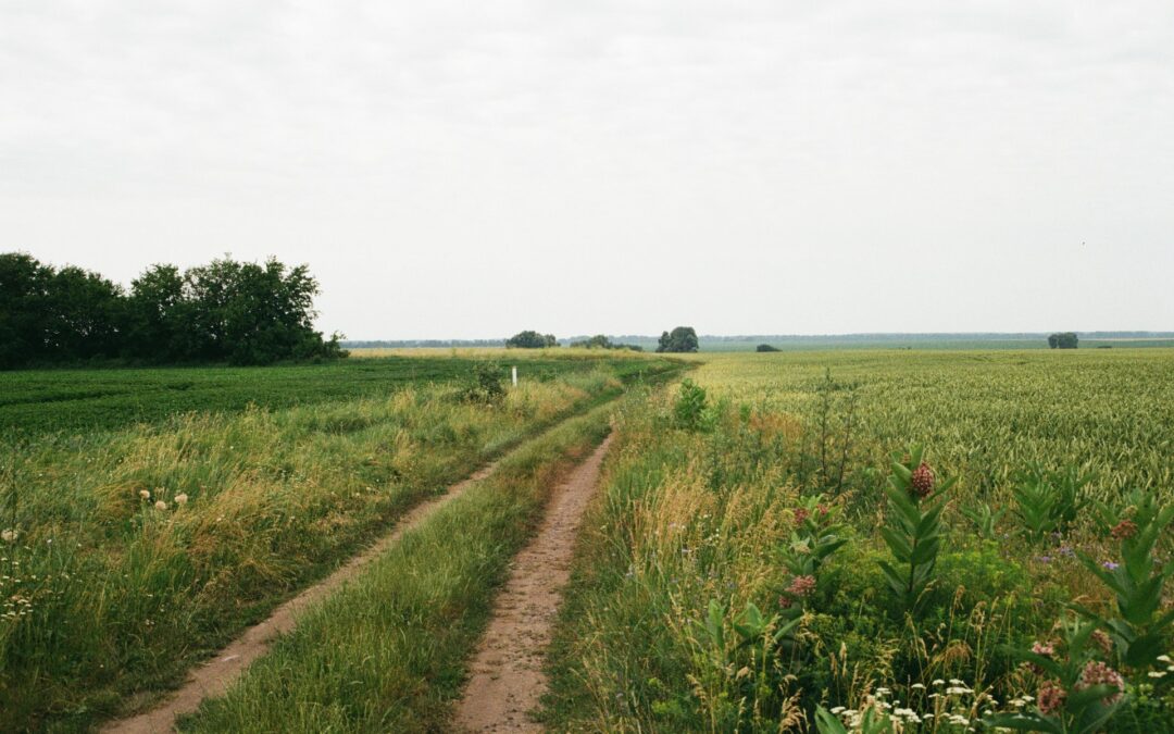 A Visão e a Realidade