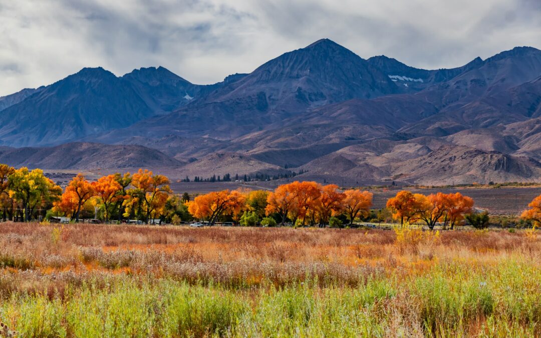 O Lugar da Humilhação