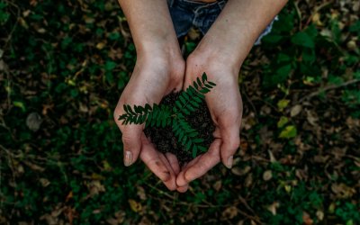 Redenção – Criando a Necessidade que só Ela Satisfaz